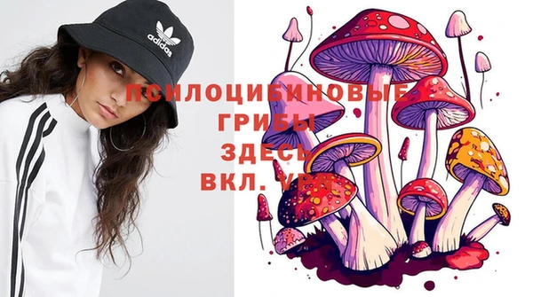 мет Корсаков