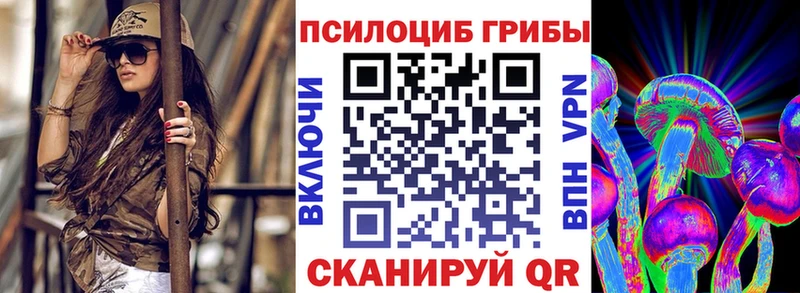 Галлюциногенные грибы GOLDEN TEACHER  купить наркотик  Краснозаводск 
